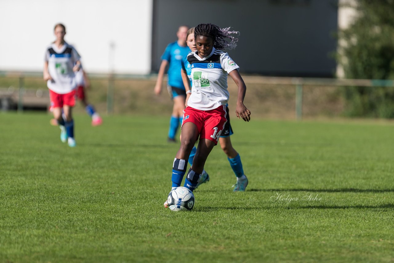 Bild 148 - wBJ VfL Pinneberg - Hamburger SV 2 : Ergebnis: 1:3